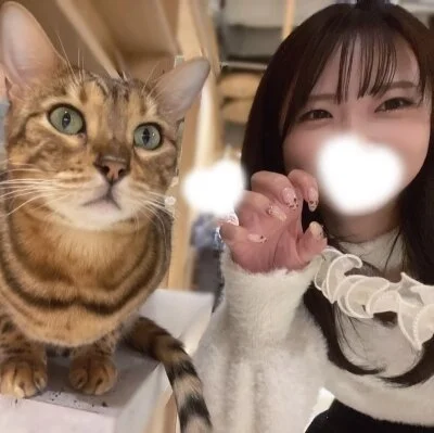 お店の特徴その3