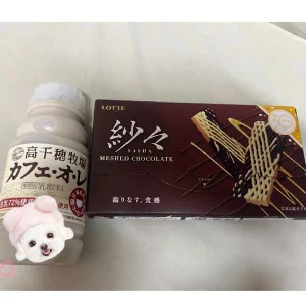 酔となにしちゃう、、？
