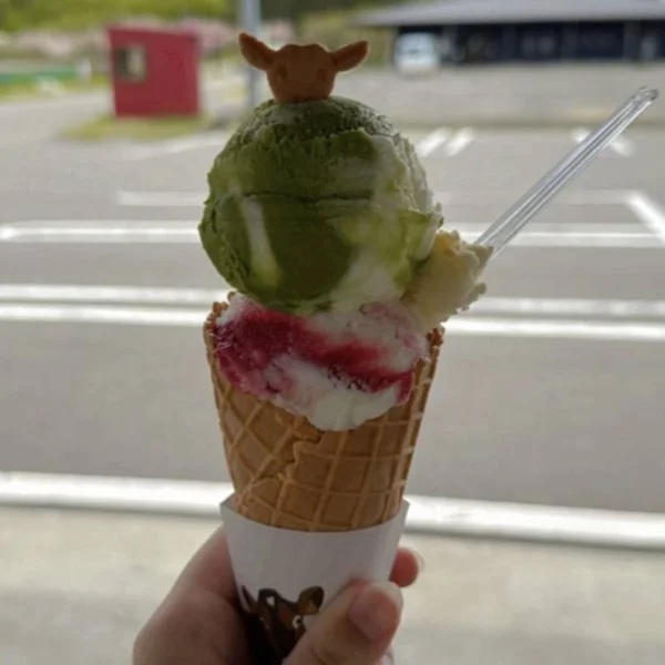 残りわずか、、、
