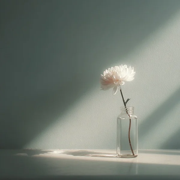 お休みします🥺