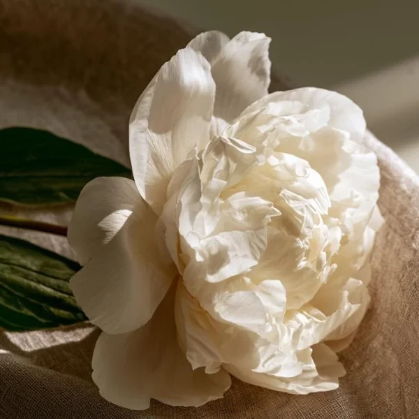 7/27 今日もありがとうございました😘