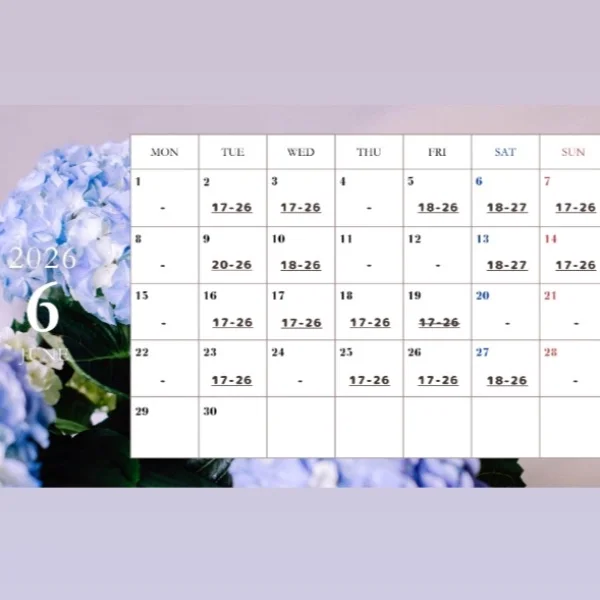 .ﾟ*❁⃘出勤日❁⃘*.ﾟ