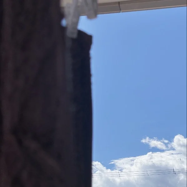 本日まだ空きあり😸🍀