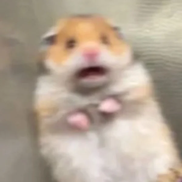 もし好きな人がいたならば、、！！