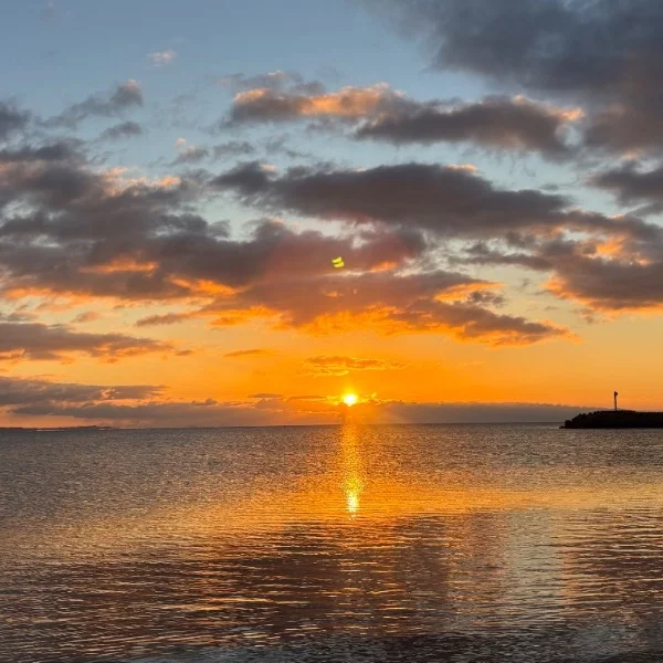 お久しぶりです🌅♡