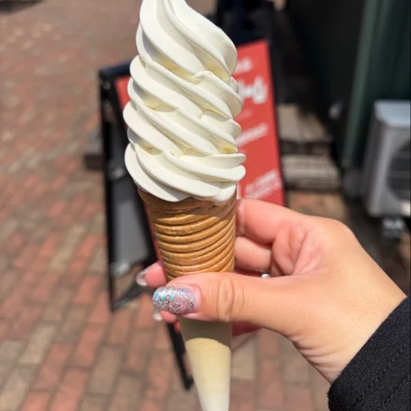 今日も🌸