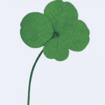 CLOVER
