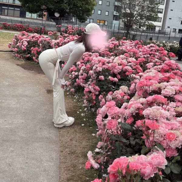 6/1