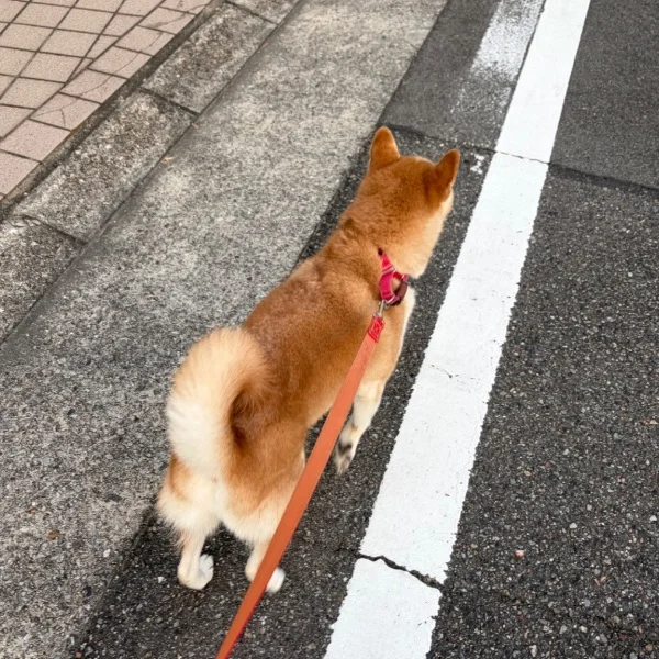 おはよう!