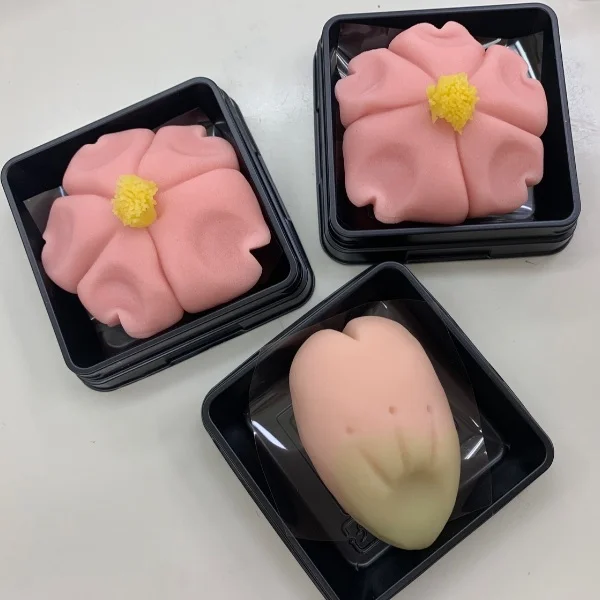 初めての体験🥰