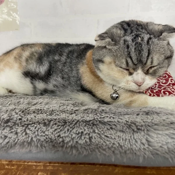 丸亀🥺