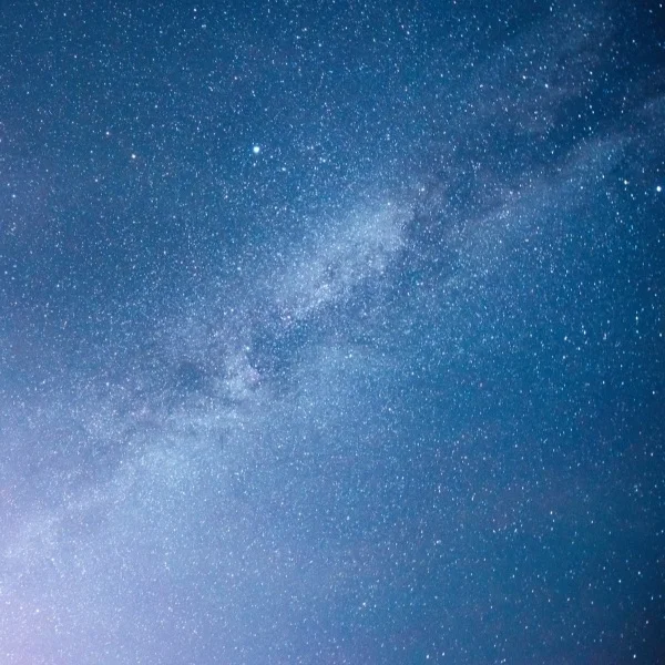 🍁