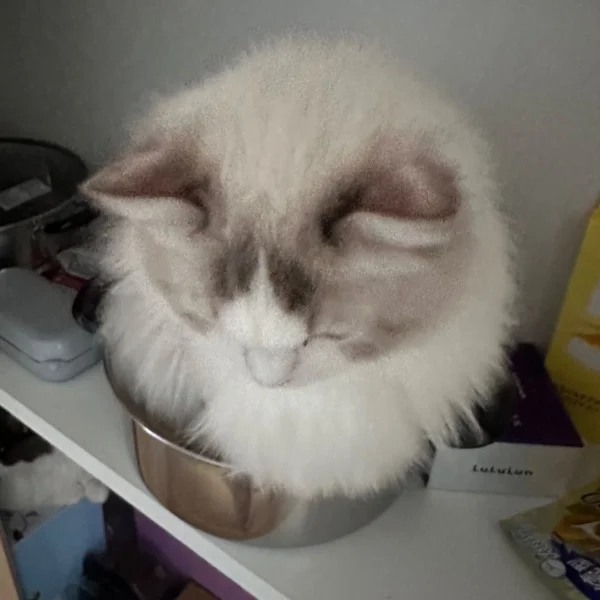 出勤じゃないよ〜ん🥰