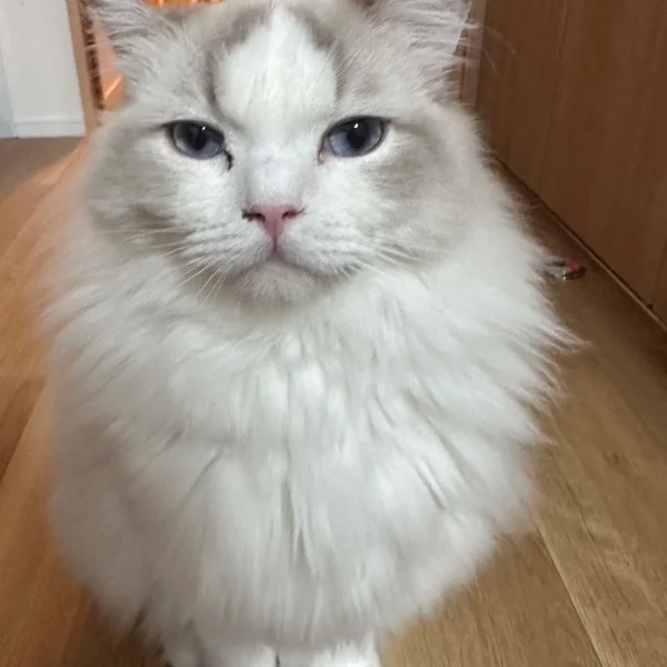おひるまで💓