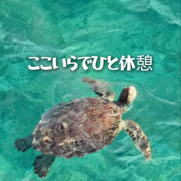 覚めてはならぬ時間に( ･ิө･ิ)…