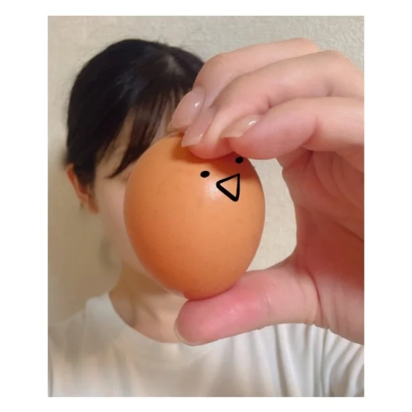 戦いのレタスチャーハン🥬🐣
