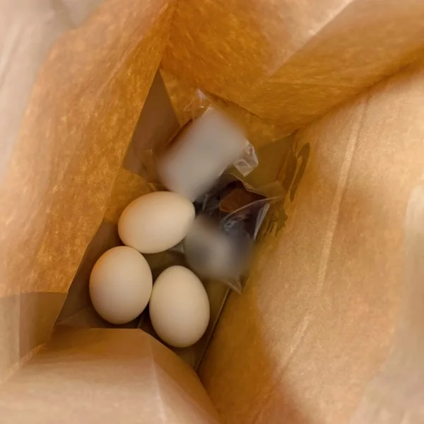 🥚🥚🥚