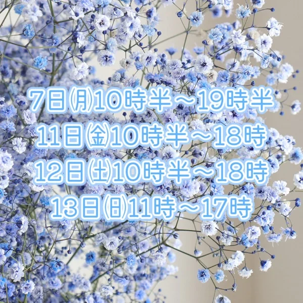 · ── ·✦· ── ·