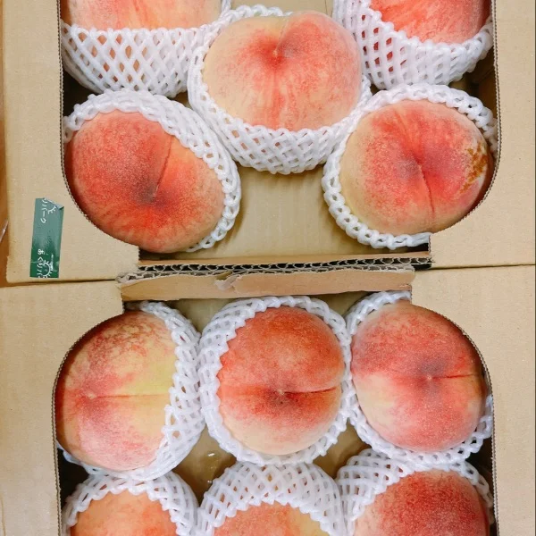 お休みありがとうございました💕