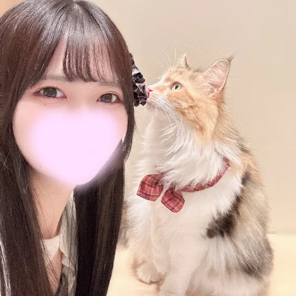 お昼まふぃ💭⟡꙳