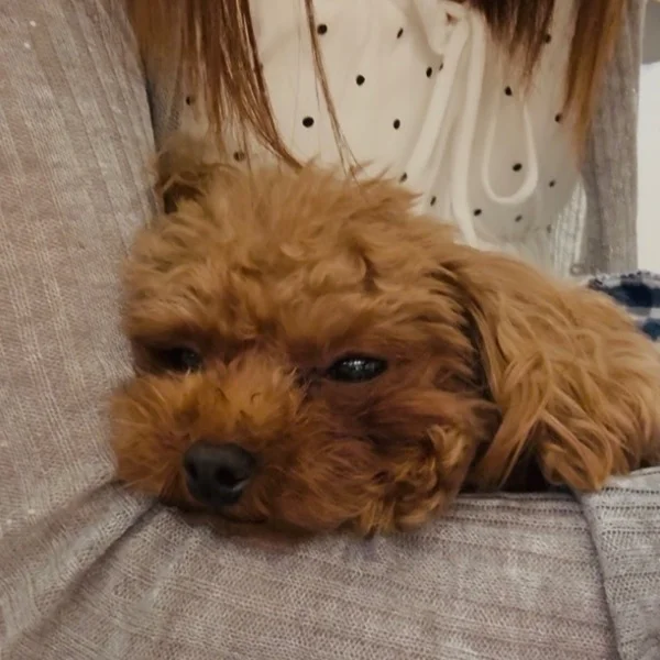 癒し💕