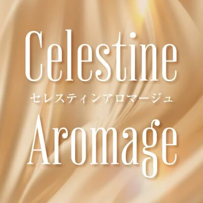 セレスティンアロマージュ銀座