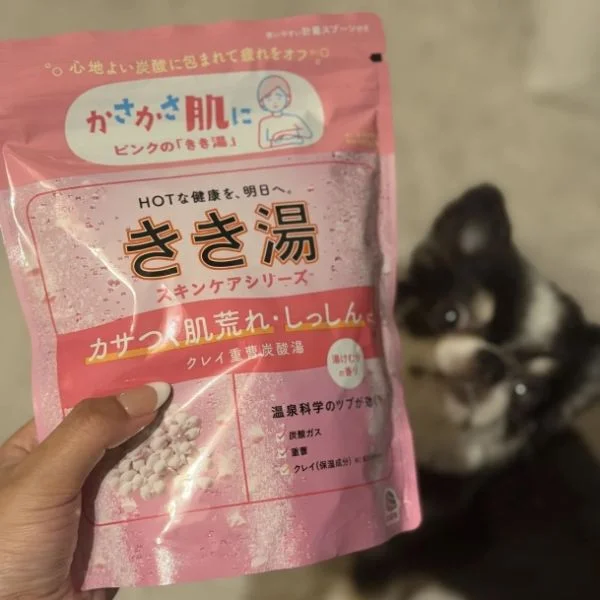 本日おやすみいただいてまぷ👶🏻ྀི✨️