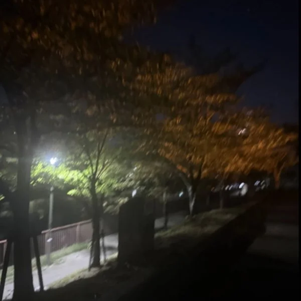 今日はお家でまったりしてる😙