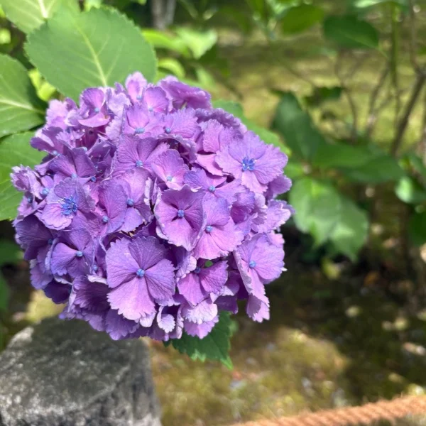 出勤しました☺️