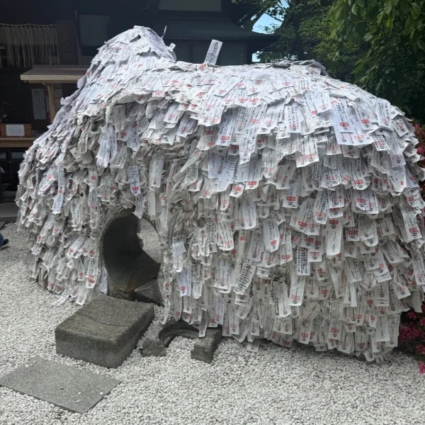浄化🪴