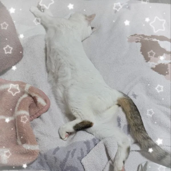 また明日🌃💕