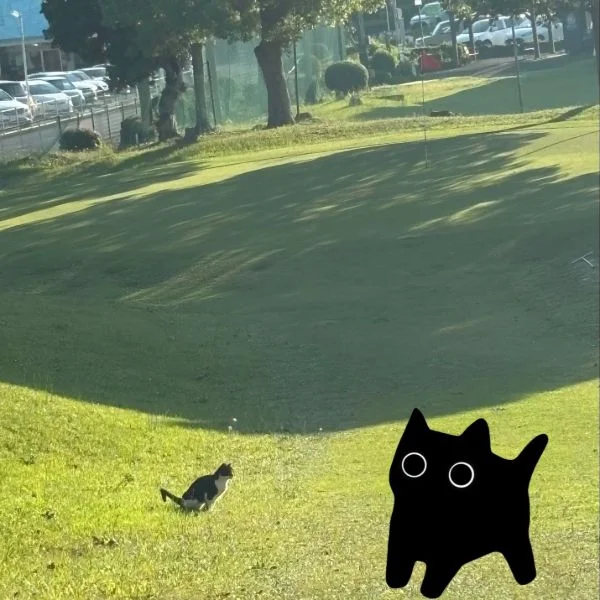 6月19日(金) ゴルフ行ってきた！