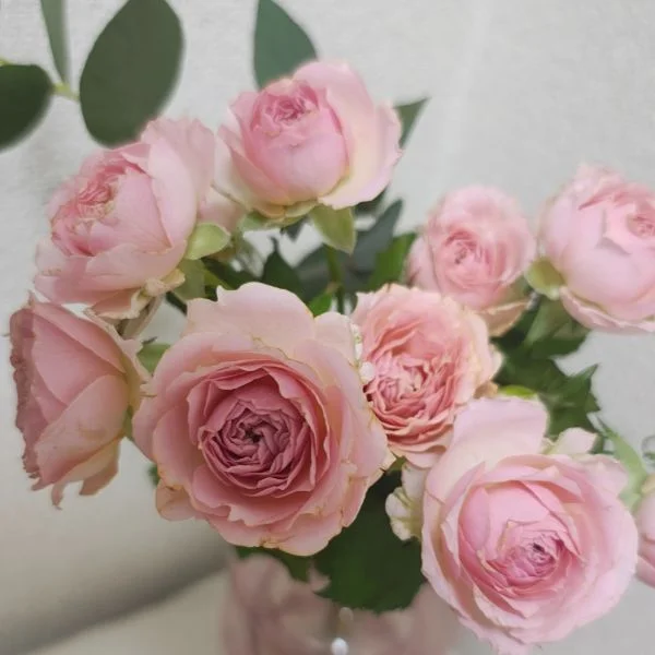 明日11時から😊出勤しまーす💞