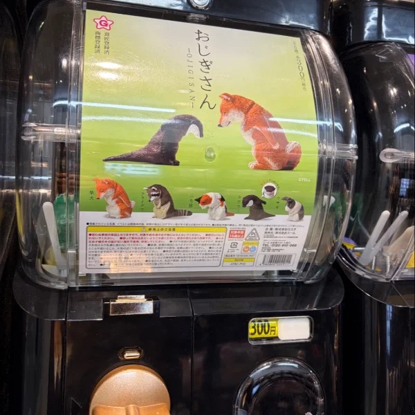 こんにちは9月