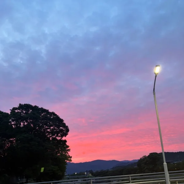 07/12暑い中有難う御座います💫