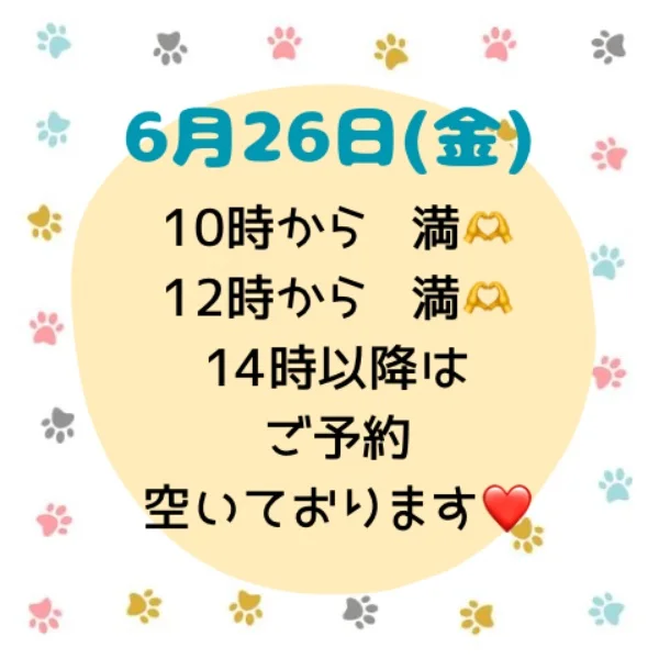 26日の予約状況です♡﻿