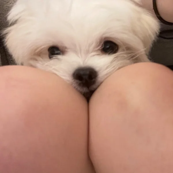 今日はどんな日かな？💞