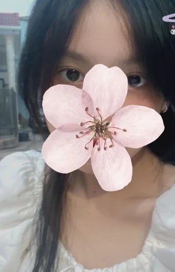 ローラ。ベトナム