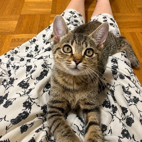 今日の癒しタイム🐾💕