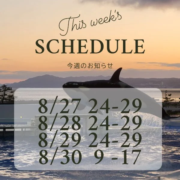 今週の出勤🐑｡○