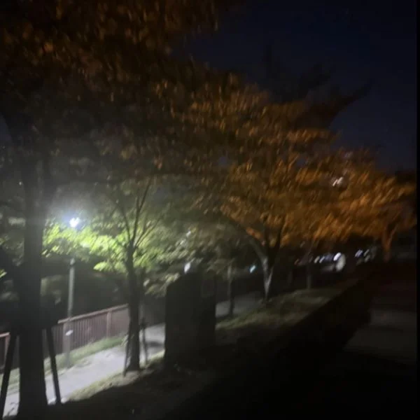 今日はお家でまったりしてる😙