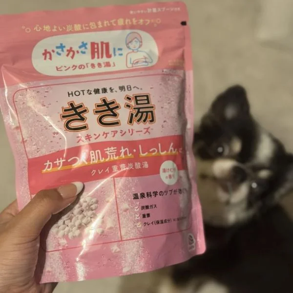 本日おやすみいただいてまぷ👶🏻ྀི✨️