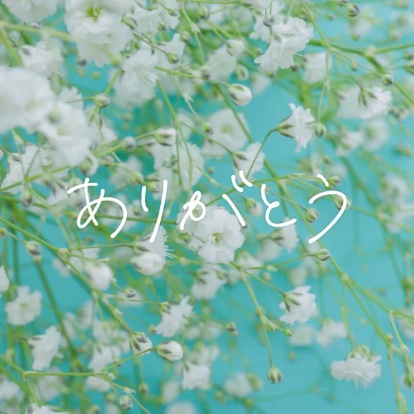 29日(日)お礼🌼