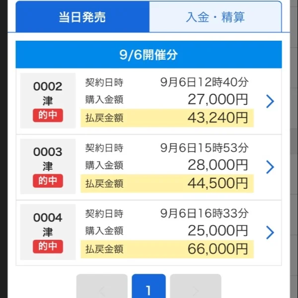 アナタだけの玩具