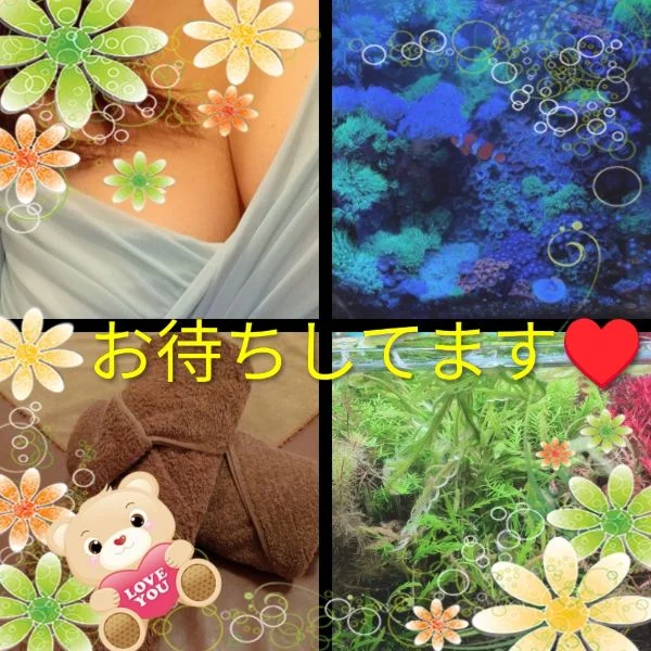 ７月の終わりに🎐…