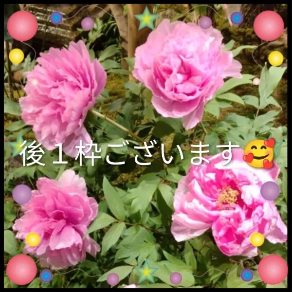 いつもありがとう♥️