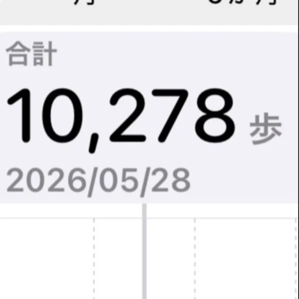 最近の趣味
