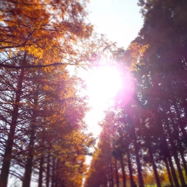 午後から晴れるって🌞✨