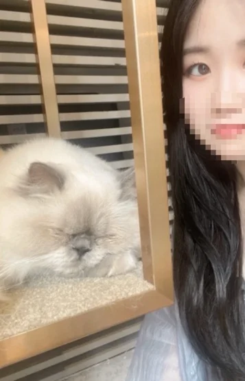 ゆか