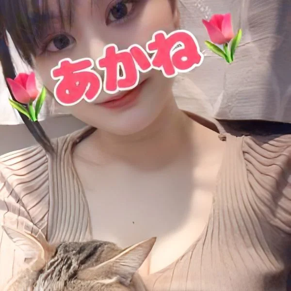 5月終盤、やさしく包みます